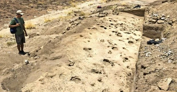 Сліди віком 1,4 мільйона років здивували вчених: ким були загадкові велетні