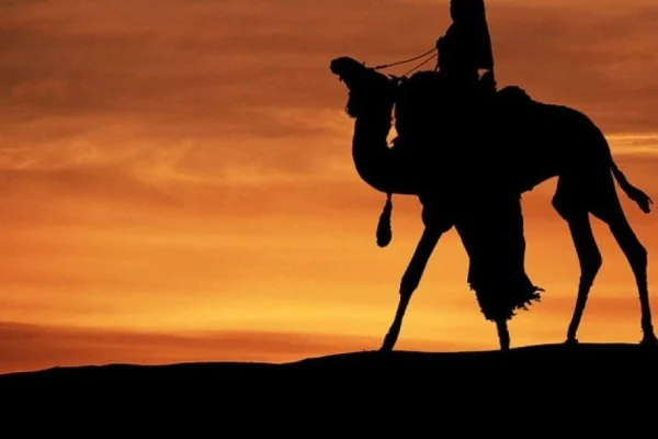 Плюс 40 вдень, мороз уночі: чому пустеля змінює температуру за години